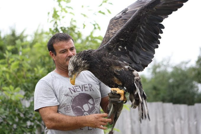 Le parc animalier de Pradinas