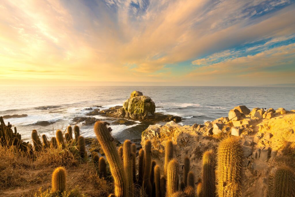 Cliff in Punta de Lobos at Pichilemu, VI Region, Chile