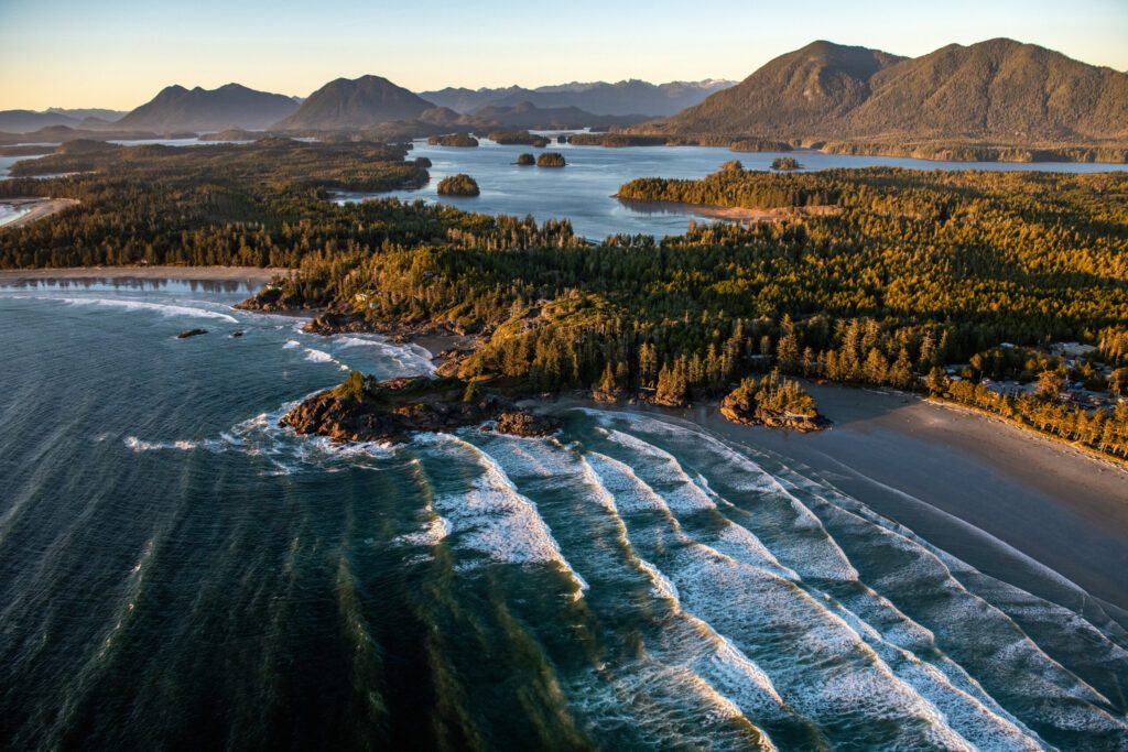 Landscape of Tofino covered in greenery surrounded by the sea in the Vancouver Islands, Canada