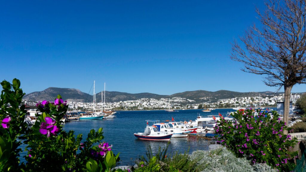 Bodrum, Mugla. Turkey. View of a bay and the marina. Small traditional fishing boats, yachts and gulets.The mountain range and the bougainvillea flowers