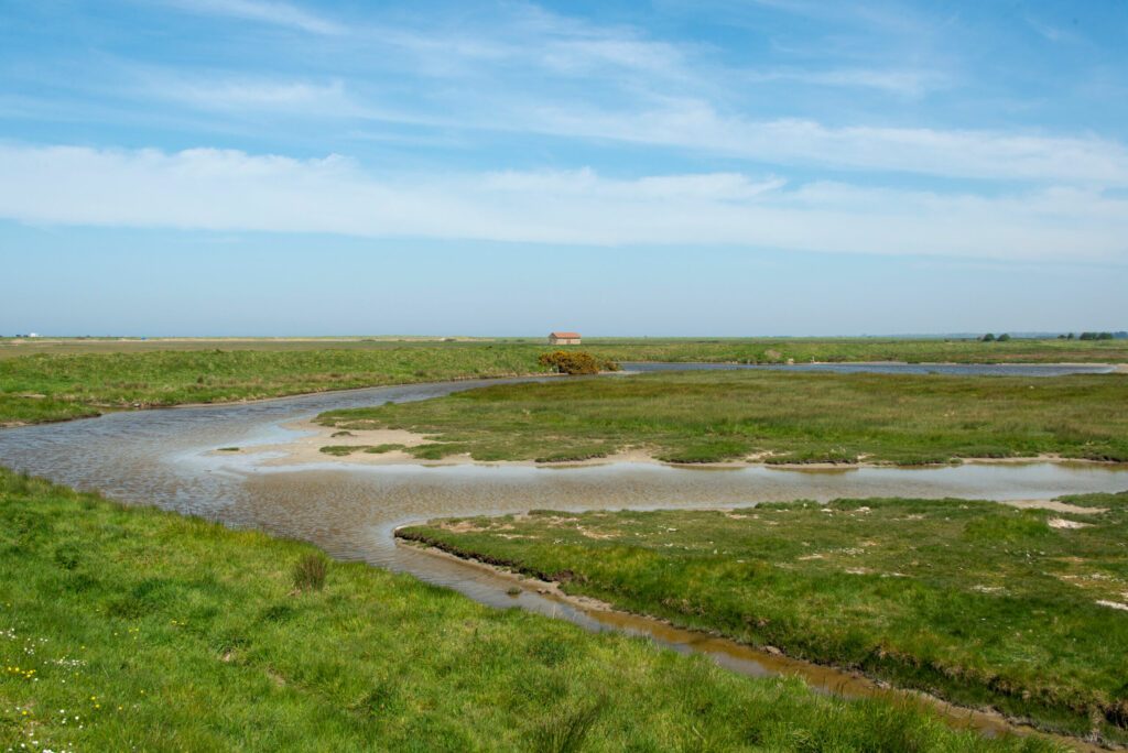 Détour par le Parc naturel régional des Marais du Cotentin en camping-car