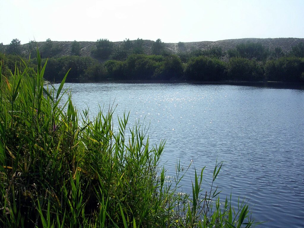 L'étang de la Mailloueyre autour de Biscarrosse