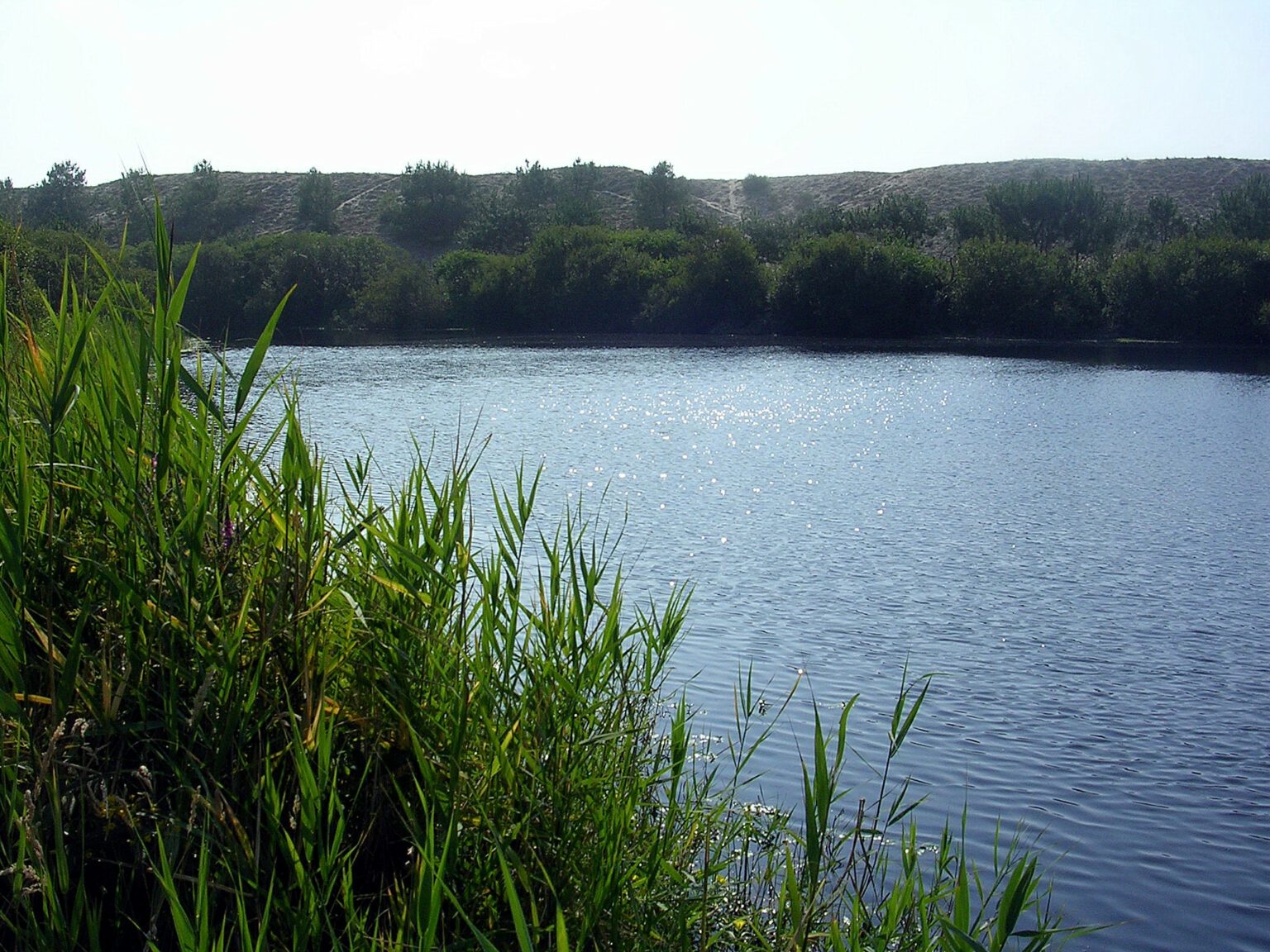 12 balades incontournables à faire autour de Biscarrosse