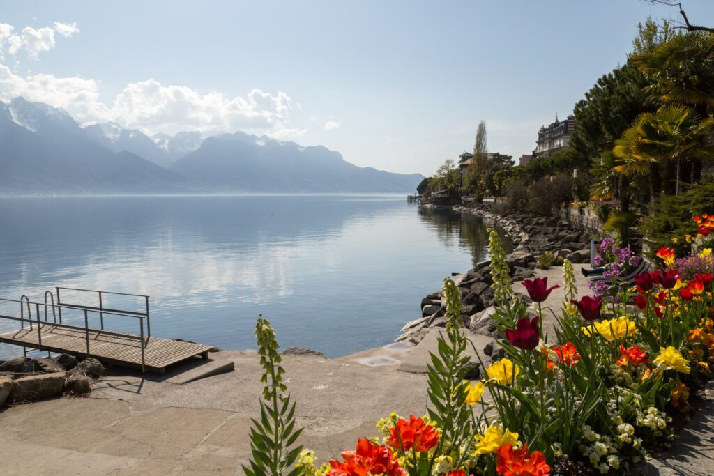 Fleurs au bord du lac Léman à Montreux