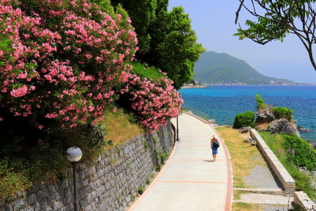 Girl walks along seashore in resort town of Herceg Novi, Montenegro, on Kotor Bay. Pink oleander and old fortress, summer rest, Herceg Novi landscape