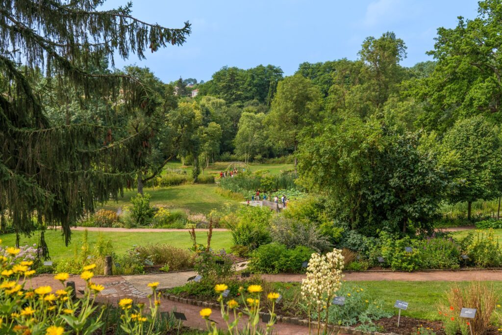 Le jardin Camifolia autour d'Angers