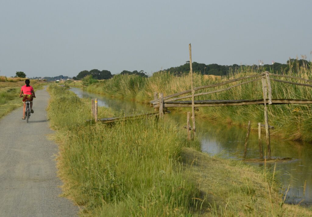 La Loire à vélo. De Saint-Brévin à Paimboeuf. Loire-Atlantique. France