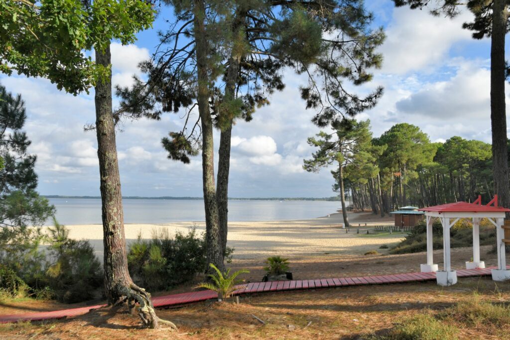 beautiful view on the lake of Cazaux in Gironde - France