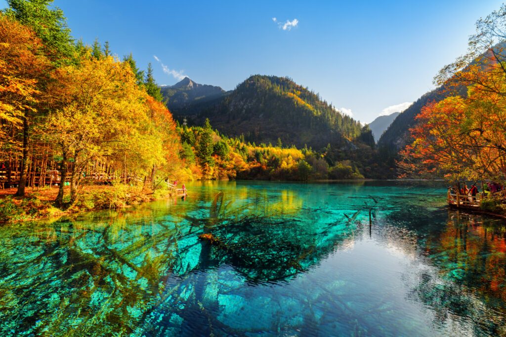 Fantastic view of submerged tree trunks in the Five Flower Lake