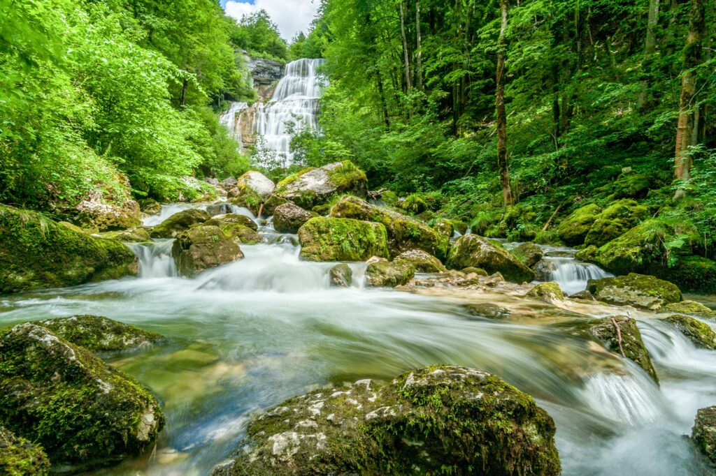 Cascades du hérisson