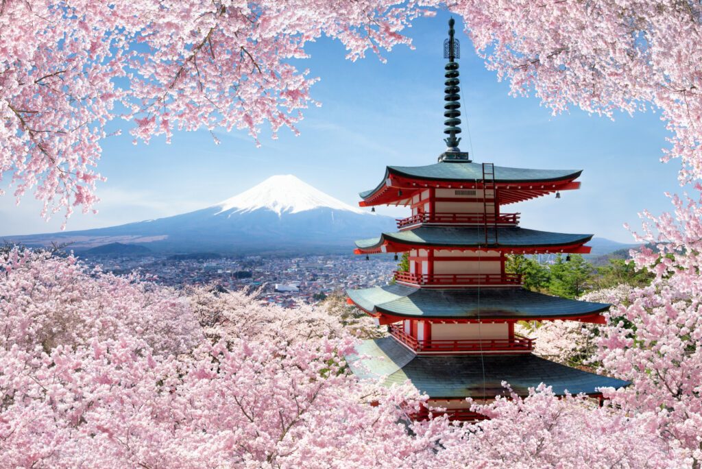 Chureito Pagoda in Fujiyoshida in spring