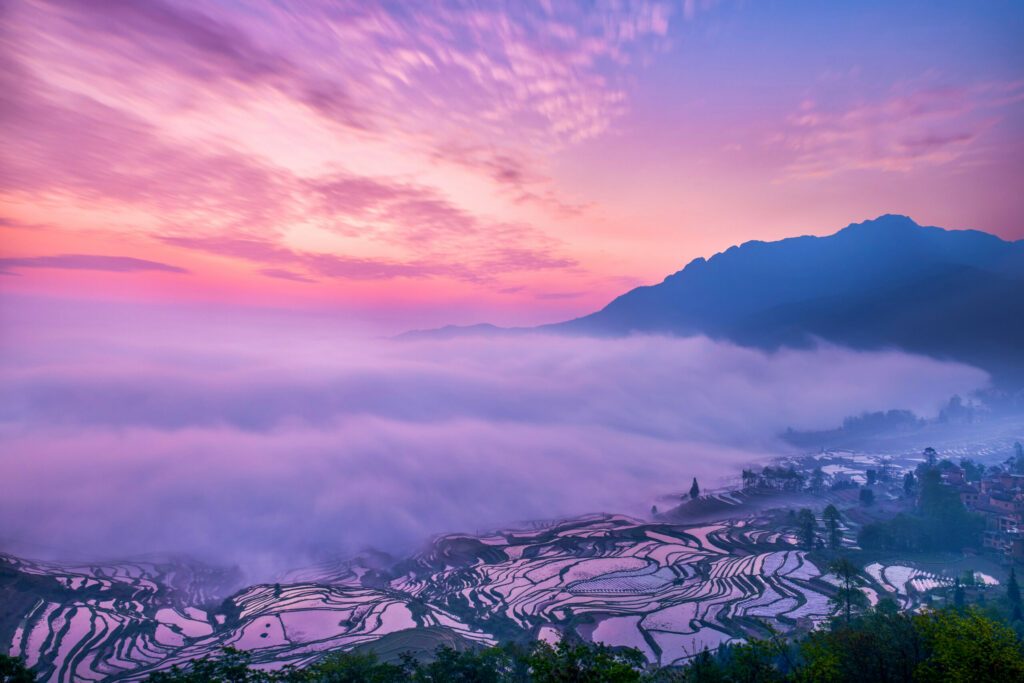 Yuanyang Duyi tree terrace, Yuanyang County, Honghe Prefecture, Yunnan province, China.