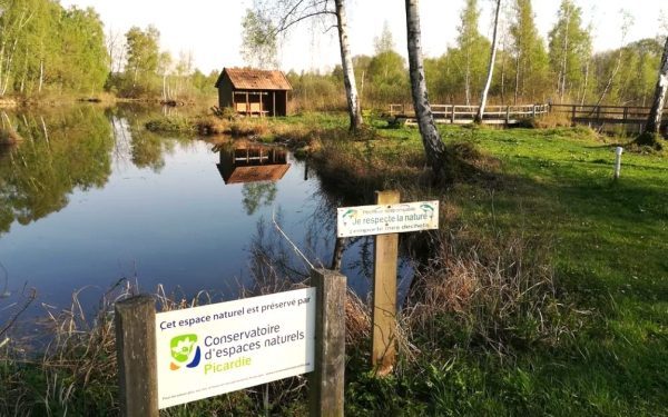 Le marais de Génonville autour d'Amiens