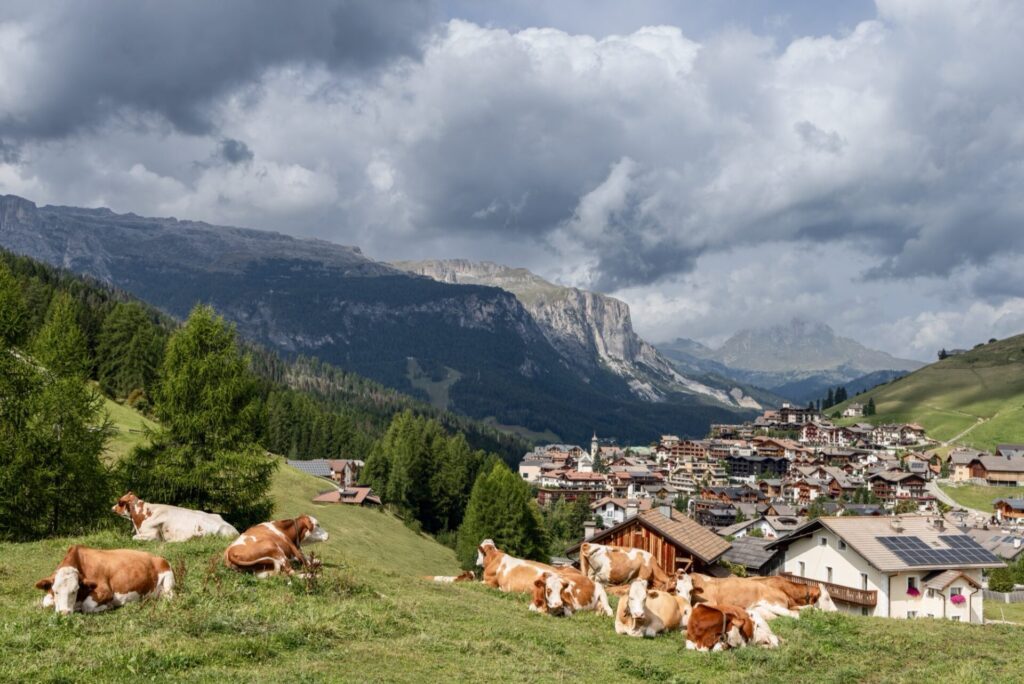 Paysage pastoral à San Cassiano, village dans les Dolomites