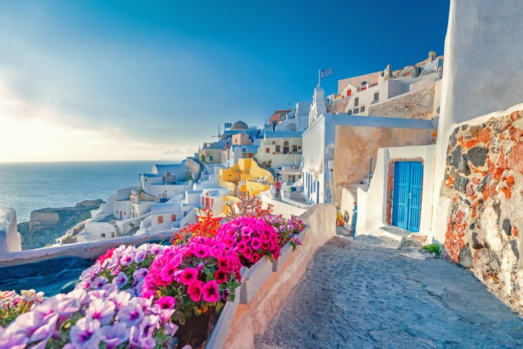 Santorini island, village Oia in Greece. Spectacular view of old street blooming with spring colorful flowers.