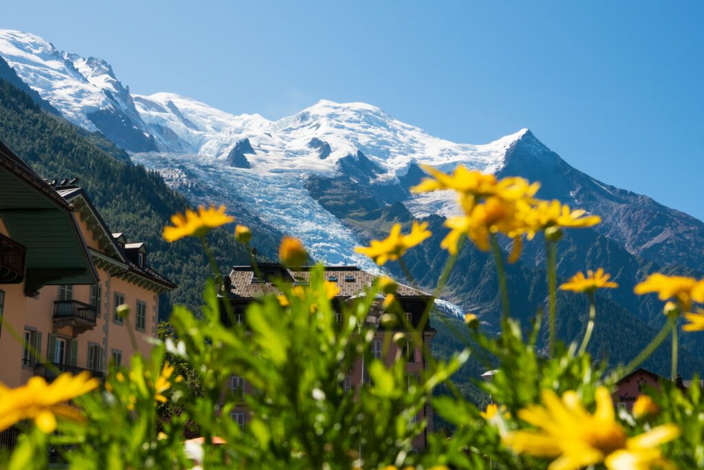 Chamonix-Mont-Blanc, France. Beautiful Alpine landscape with snow covered Mont Blanc mountain in summer through blurry yellow flowers at chalet balcony. Haute-Savoie relaxing vacation background.