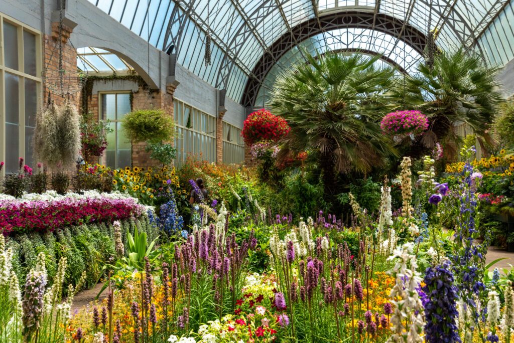 Le jardin d'hiver de Auckland Domain