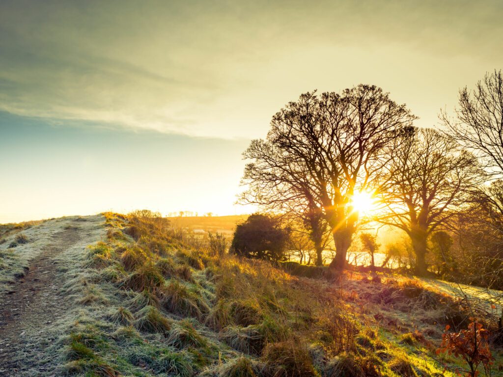 L'Irlande en hiver