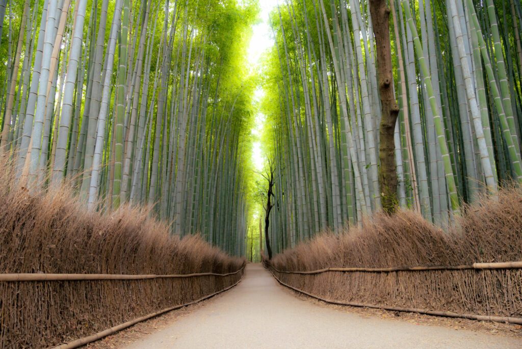 Arashiyama is a district in Kyoto, Japan, Arashiyama is a nationally designated Historic Site and Place of Scenic Beauty.