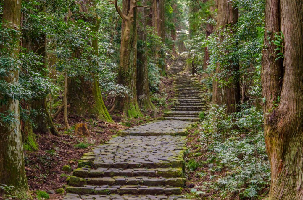 Sacred pilgrimage hiking trail Kumano Koda on Kii peninsula in Wakayama prefecture, Japan. Cobble stone trail through woods.