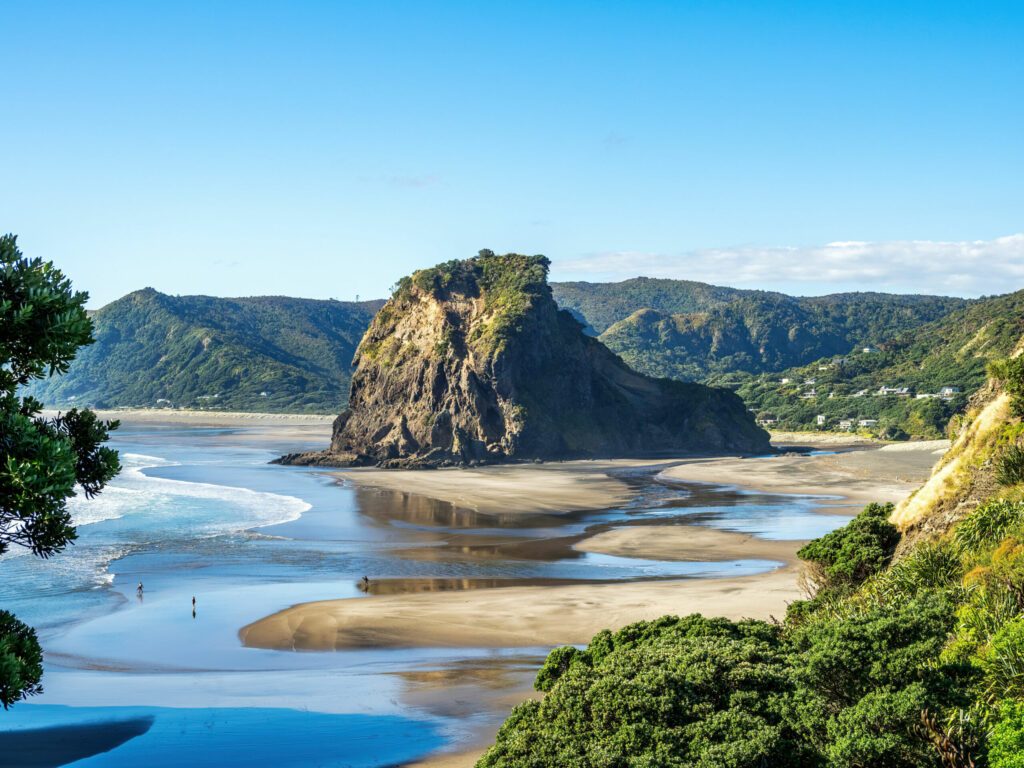 Piha beach with Lion Rock on sunny day