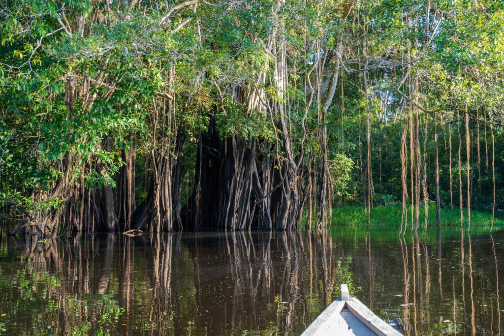 L'Amazonie en Colombie