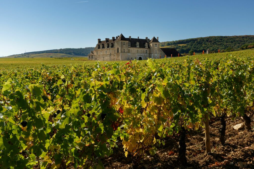 château du Clos de Vougeot