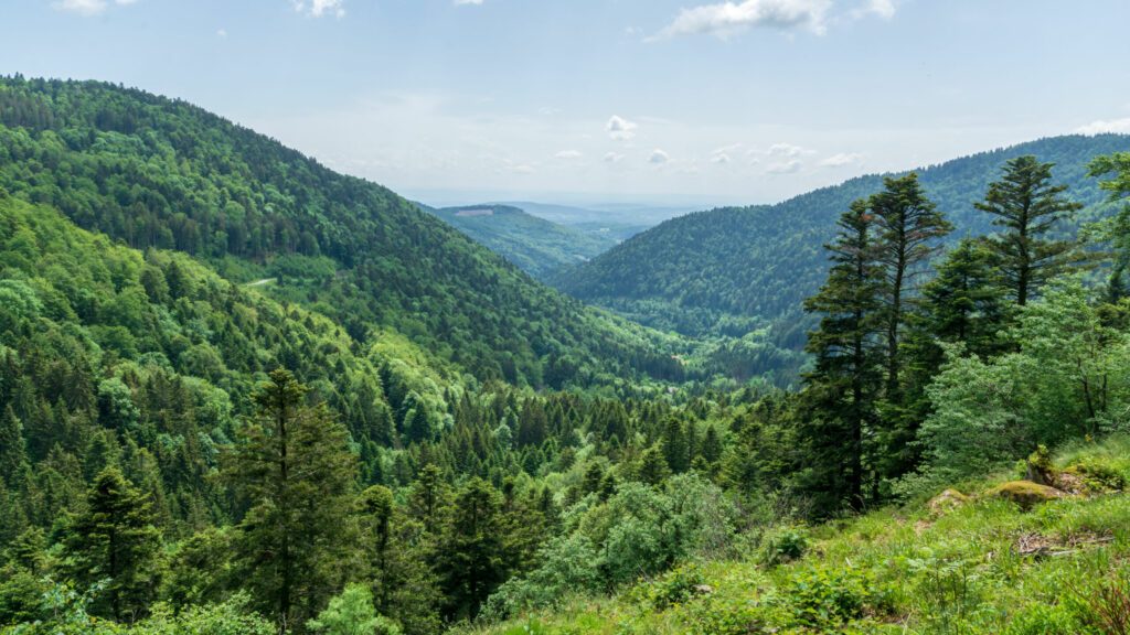 Vue du Ballon des Vosges