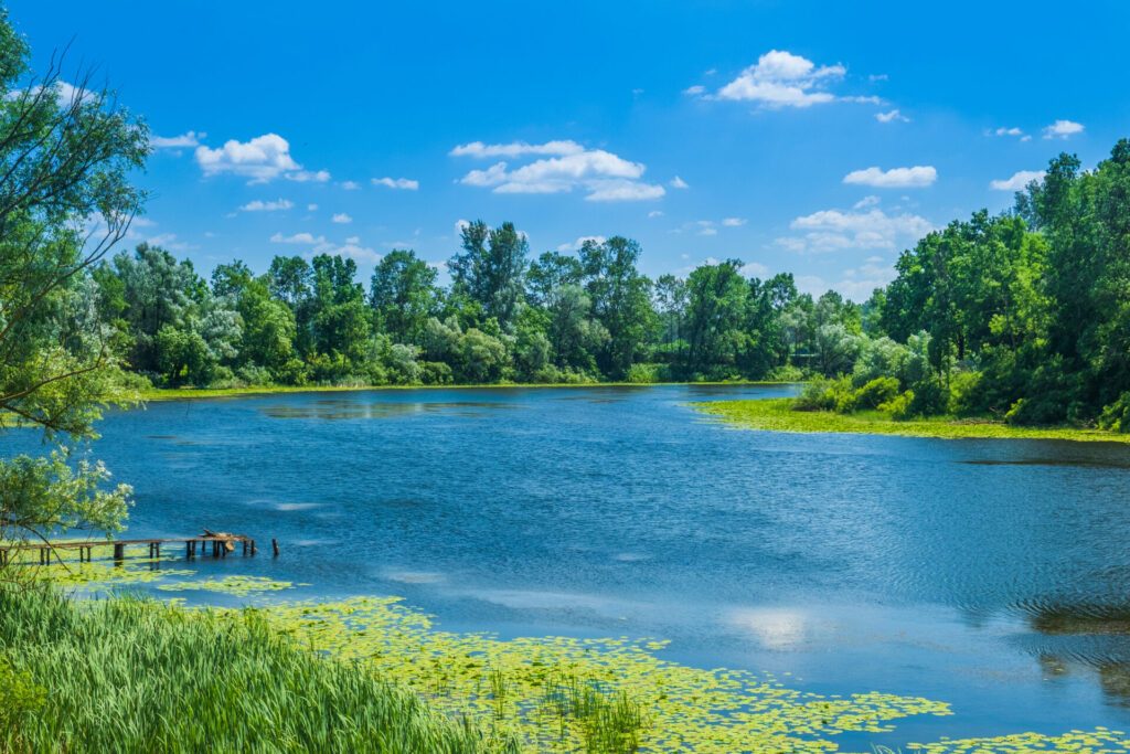 Beautiful landscape in coutryside, Sava river distributary in nature park Lonjsko polje, Croatia