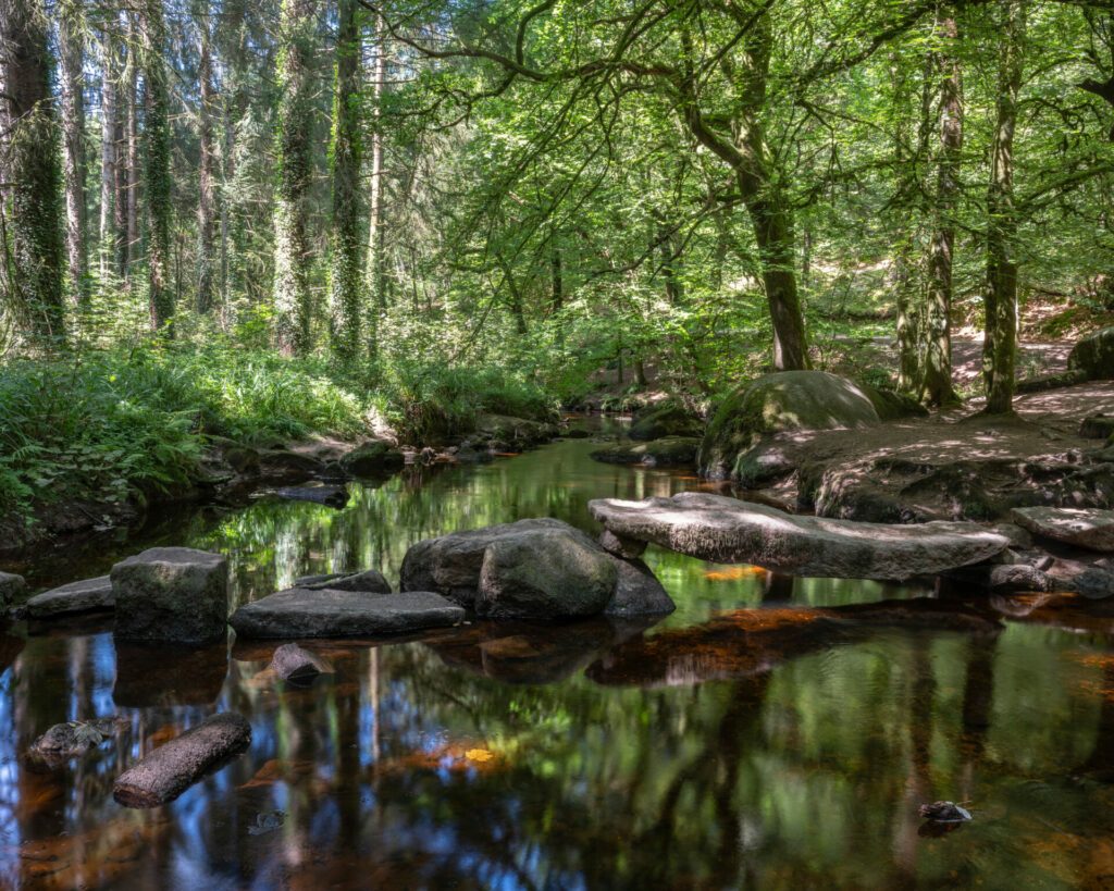 boulders offer possibility to cross forest brook in Parc naturel régional d'Armorique near huelgoat