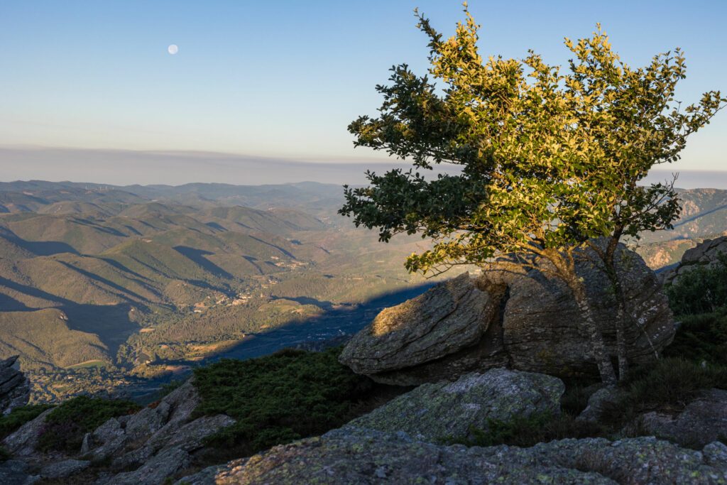 Vue au lever du soleil sur l'Hérault et le Parc naturel du Haut-Languedoc, et la Vallée de l'Orb depuis le sommet du Mont Caroux