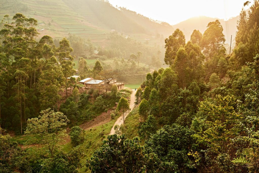 Sunset in Bwindi Impenetrable National Park, Uganda, East Africa