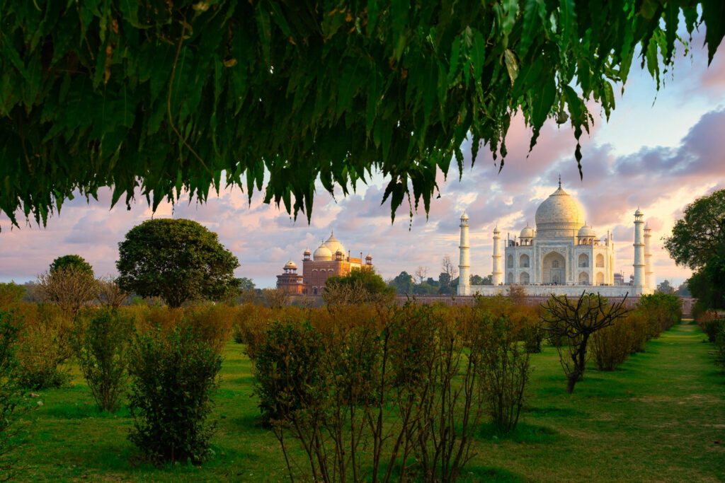 Taj Mahal scenic sunset view with pink sky from Mehtab Bagh gardens. A UNESCO World heritage site in Agra, India.