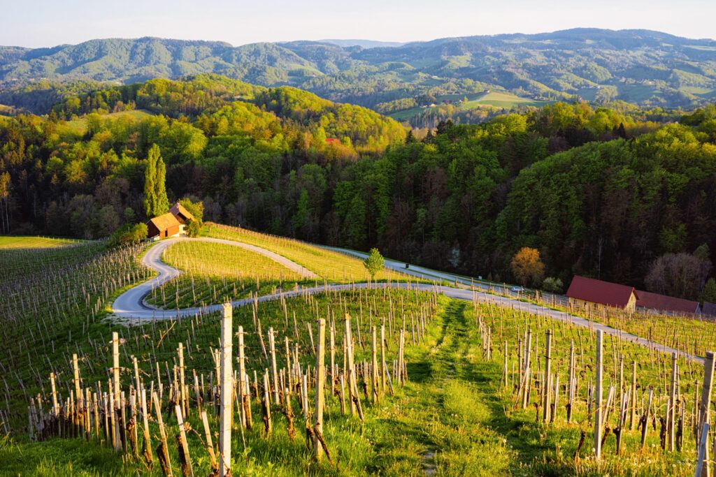 Le célèbre cœur sur la route des vins