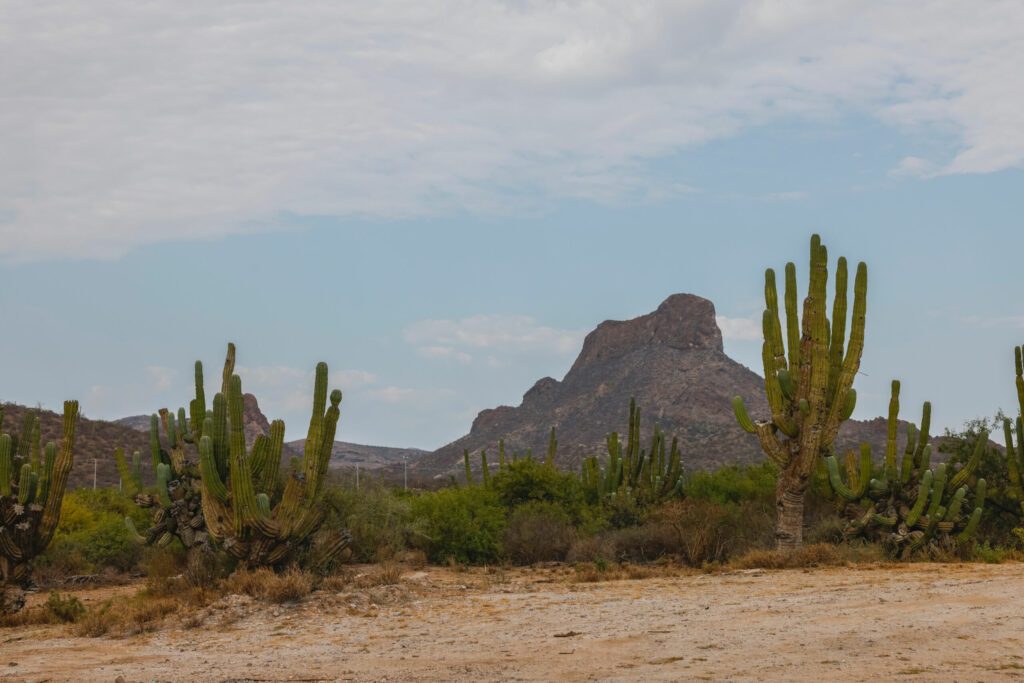 Entorno de la bahía de San Carlos, en el estado de Sonora, Mexico montañas, vegetación y costumbres.