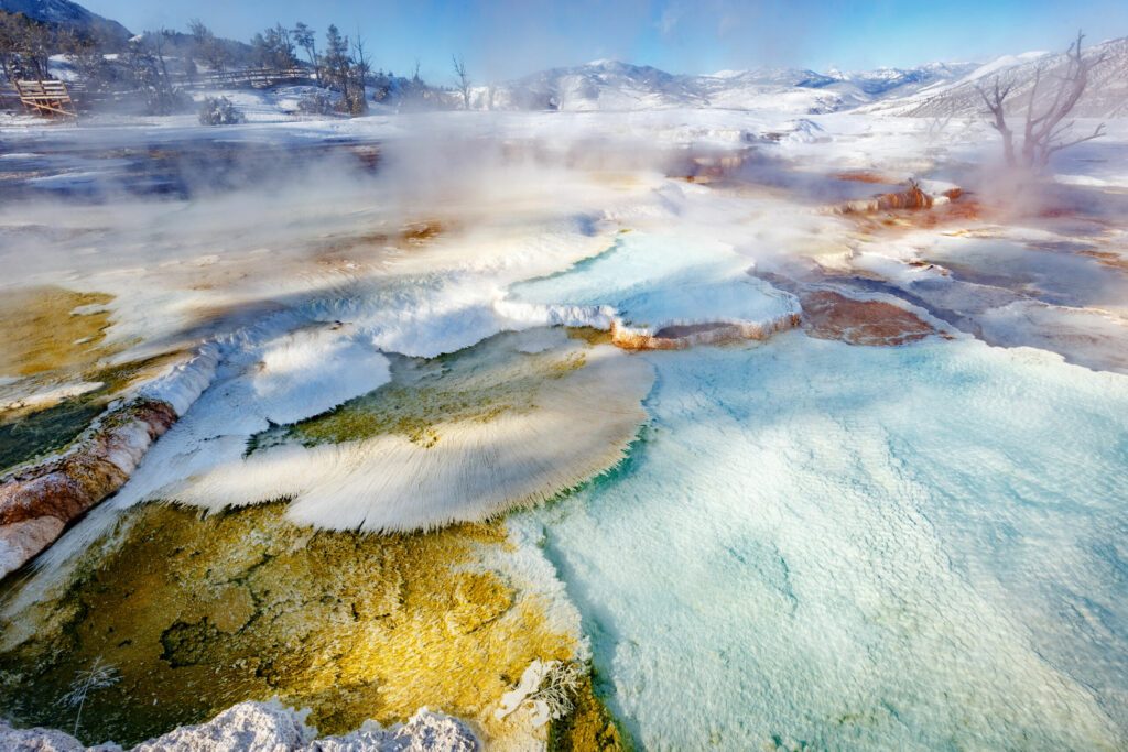 Yellowstone dans les paysages d'hiver