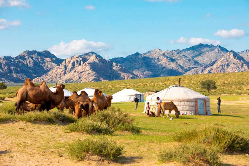 Mongolian tent near Little Gobi landscape