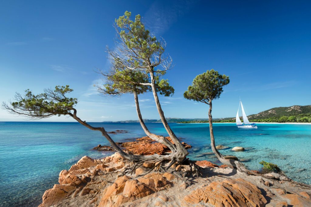 Plage de palombaggia Corse France