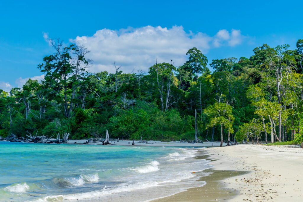 Elephant Beach, Havelock Island, Andaman, India