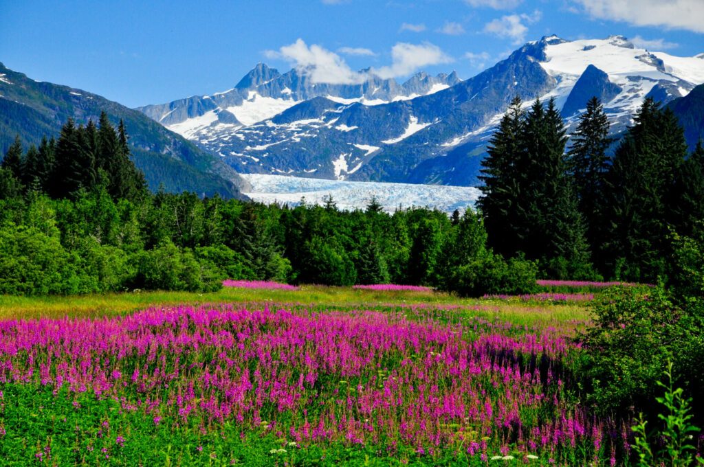 Medenhall Glacier Outlook, Juneau, Alaska