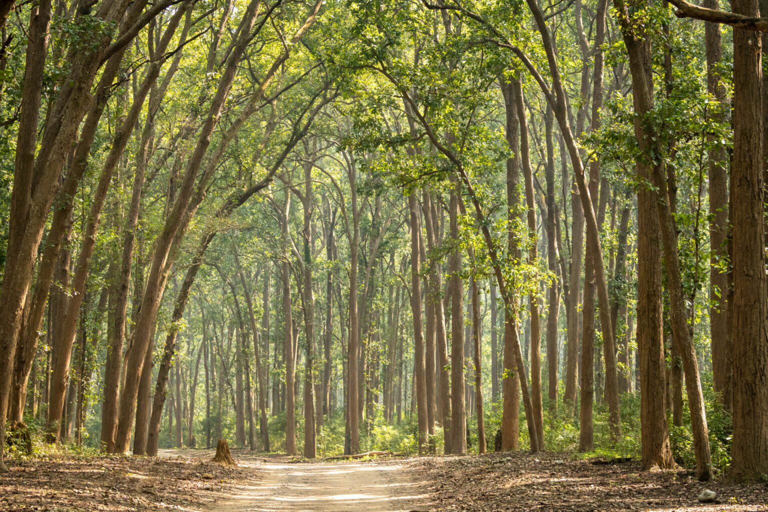 Les 24 plus beaux paysages de l'Inde à voir en photos