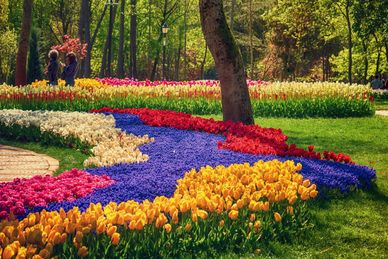 Un monde de fleurs main image 1