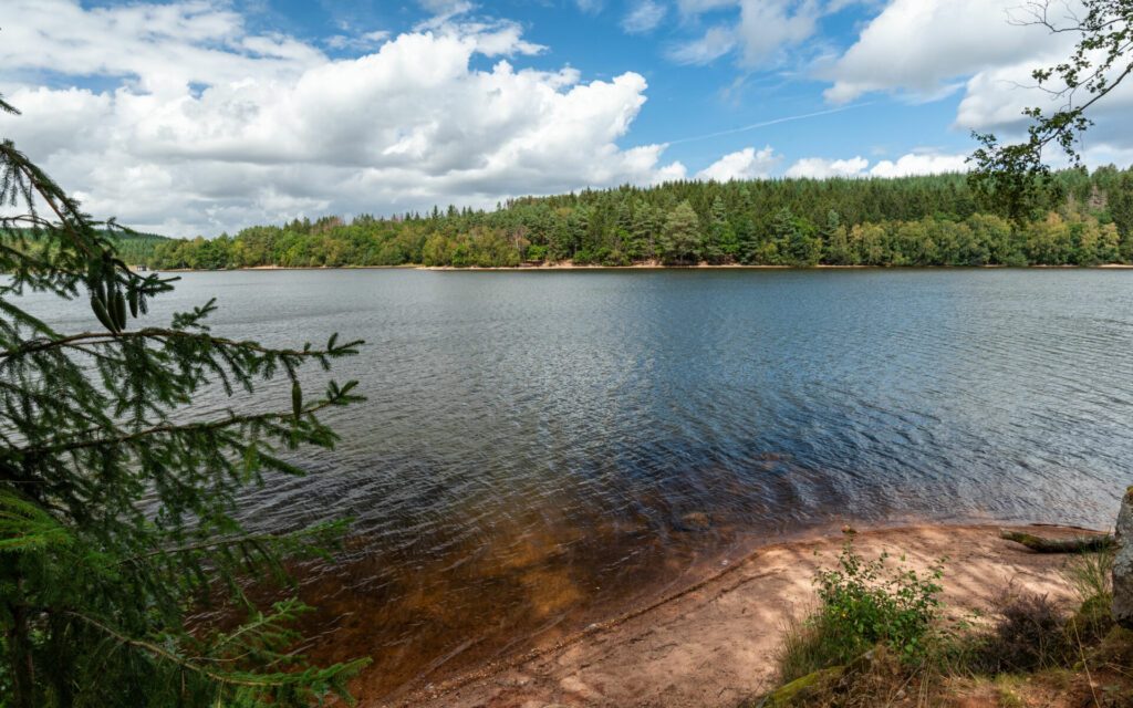 View of Saint-Agnan lake located in the protected area of the Parc naturel régional du Morvan, Nièvre department, FRANCE.