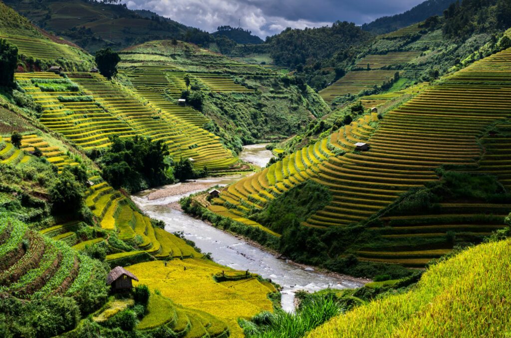 Rice fields on terraced of Mu Cang Chai District, YenBai province, Northwest Vietnam