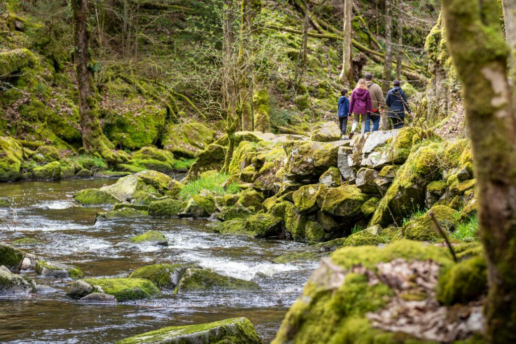 Se balader en famille dans la forêt