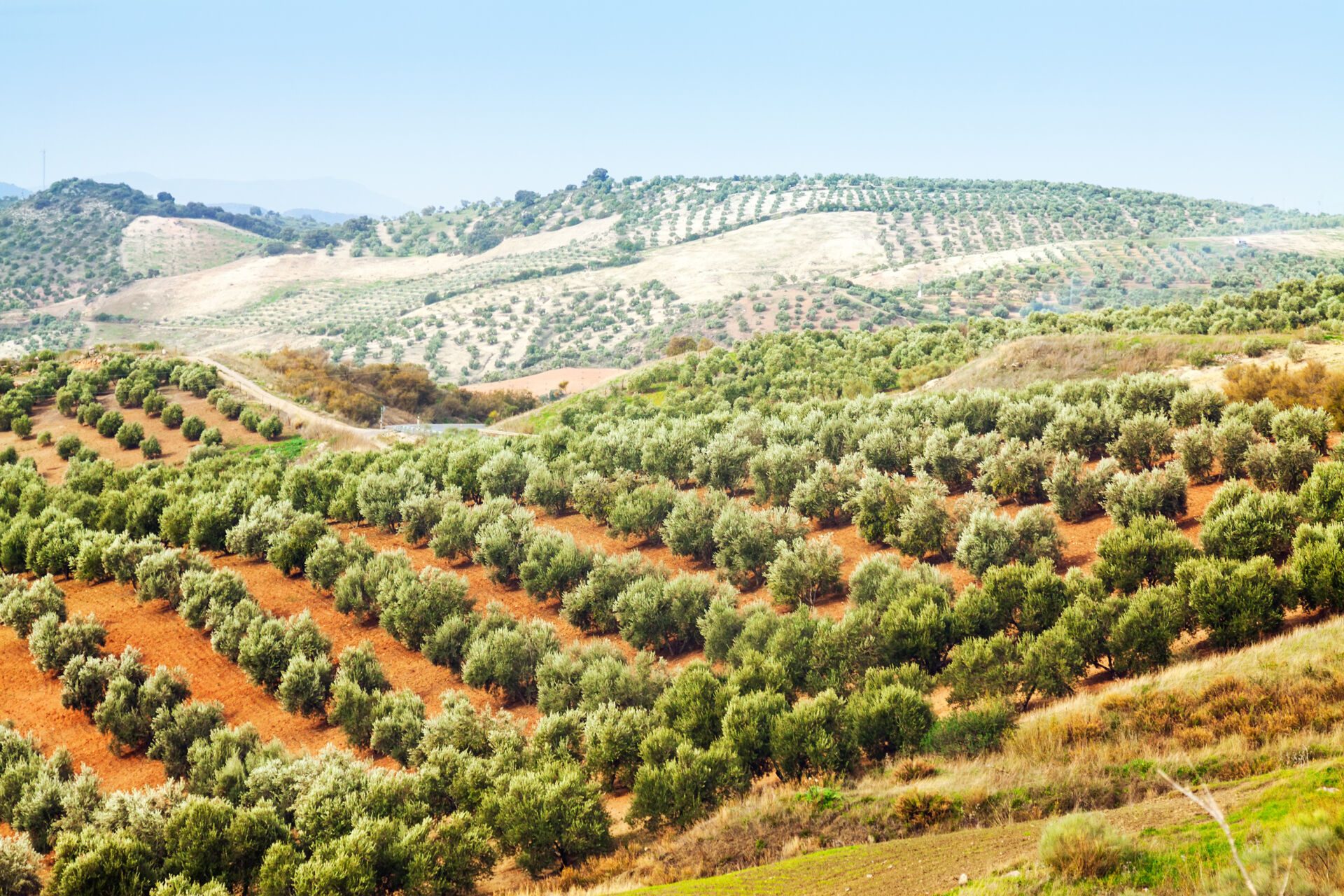 10 souvenirs à ramener de Grèce, ou à offrir