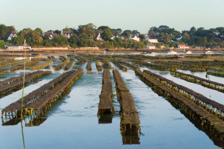 Que Voir Dans Le Golfe Du Morbihan Nos 10 Incontournables que-voir-dans-le-golfe-du-morbihan-nos-10-incontournables