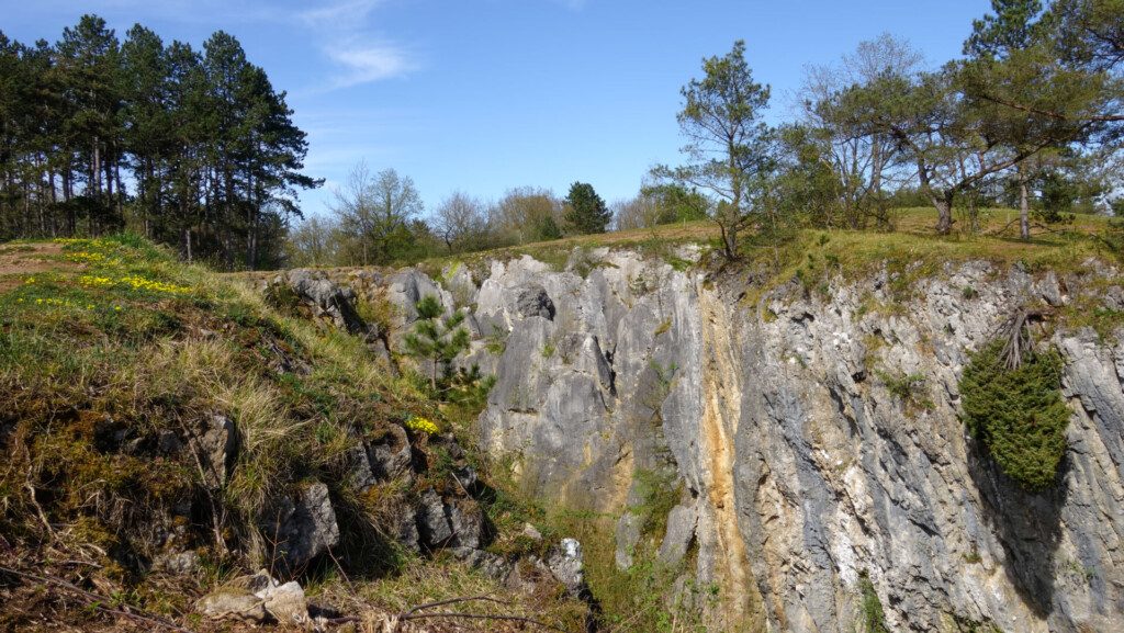 Le Fondry des chiens dans le Parc naturel de Viroin-Hermeton (Belgique)