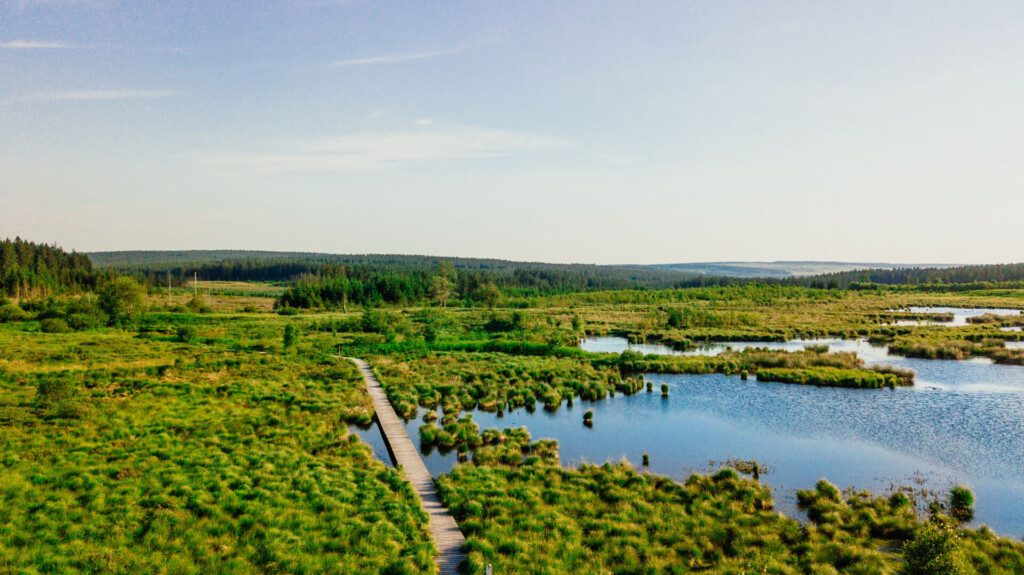 Les Hautes Fagnes - Ardennes belges