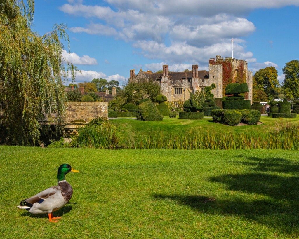 Château d'Hever et ses jardins, alentours de Londres